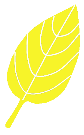 hoja amarilla