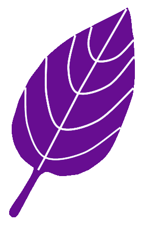 hoja violeta